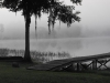 lvw-foggy-morning-on-lake-waldena